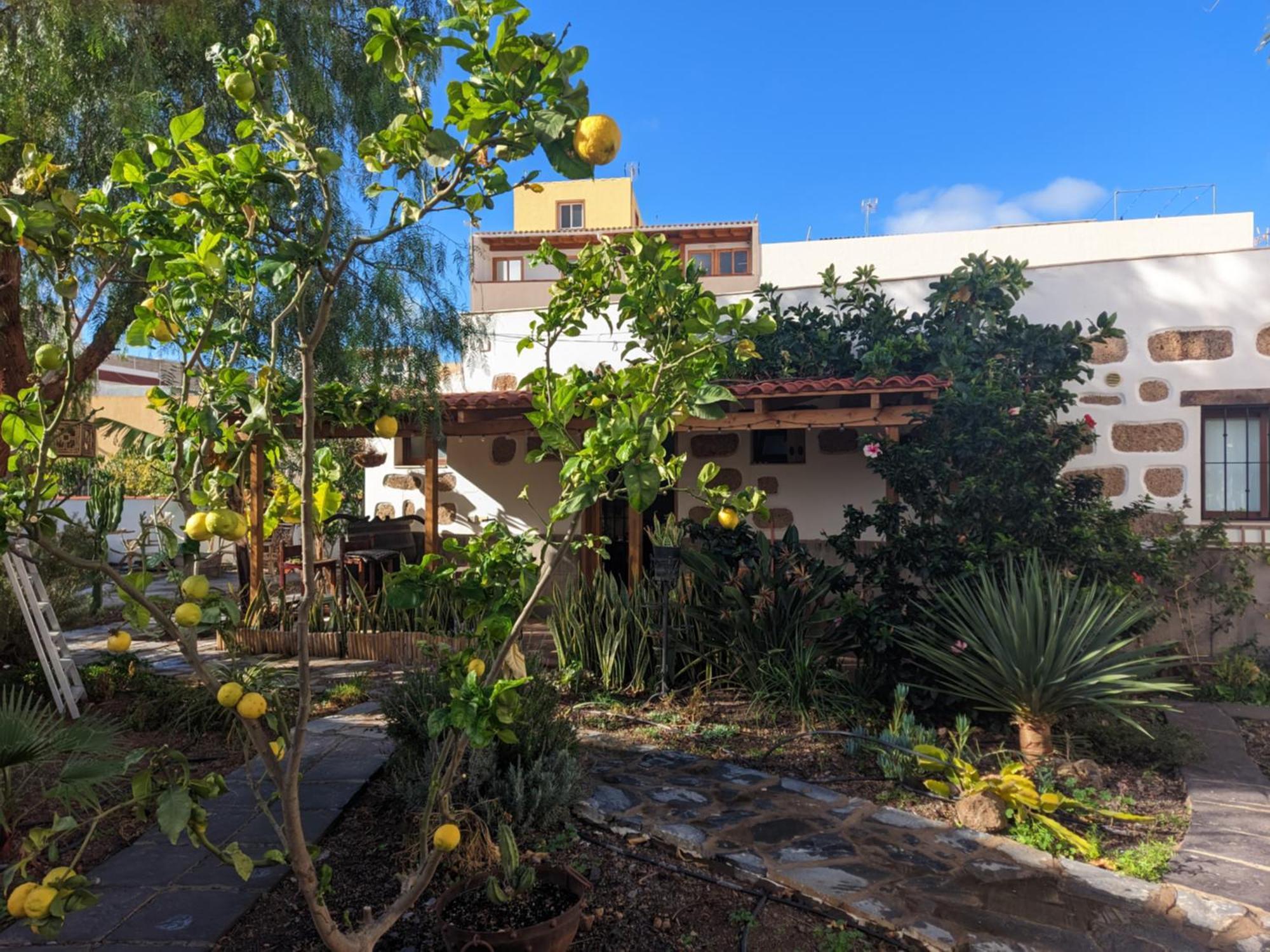 Casa Roberta Agua Apartment Arona  Exterior foto